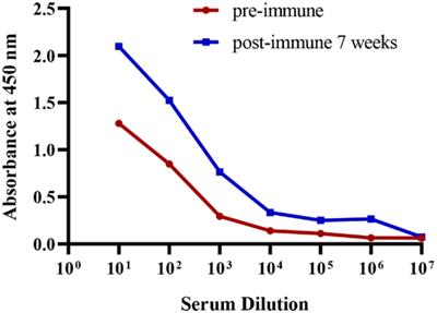 Screening and epitope characterization of diagnostic nanobody against total and activated Bacteroides fragilis toxin